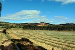 28703P1010720-1.JPG