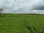 18845P1000685.JPG