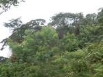 49423CIMG5760.JPG