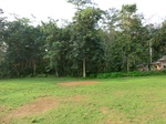 45913CIMG0202.JPG