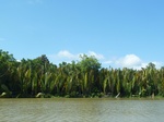 54678Bulungan (173).JPG