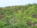 501120042008(30).JPG