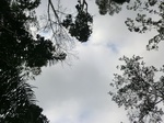46025CIMG0314.JPG