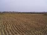 3189R0017223.JPG
