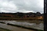 28364P1010375-1.JPG