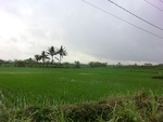 30690CIMG0506.JPG