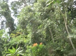 49495CIMG5832.JPG
