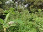 51257DSC01966.JPG
