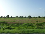 19382P1010229.JPG