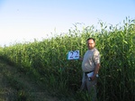 10189022-irri-sorgum-1a.jpg