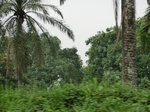 44592CIMG1777.JPG