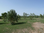 19276P1010122.JPG