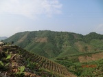 53496CIMG6833.JPG