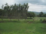 34373IMG_5287.JPG