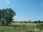 55433CIMG2022.JPG