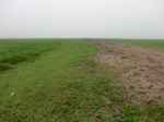 51768CIMG0019.JPG