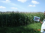127250200a-irrigated-supplemental-groundwater-rice-dominant-maize-doublecrop.gif