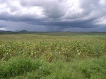 26214RIMG0267.JPG