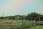 2024-08-05_14-49-59_3B1FCCA0-B61A-411C-B79B-5FA7D5098F9C.jpeg