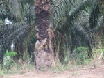 44531CIMG1716.JPG