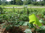 20116P1010967.JPG