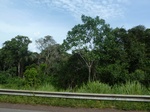 20112P1010963.JPG