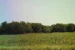 2024-06-17_21-12-36_55862749-16B9-46F2-878C-ABBCE0ABE7F7.jpeg