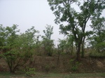 3882RIMG0186.JPG