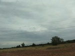 35748DSC02503.JPG
