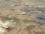 39100CIMG4802.gps.jpg