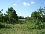 32549p201-2.jpg