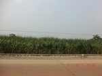 32736CIMG1868.JPG