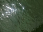 58324CIMG2773.JPG