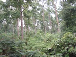15315IMG_4153.JPG