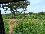 19594P1010441.JPG