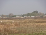26613DSC00206.JPG