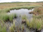 24929DSC00036.JPG