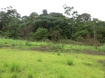 47403CIMG3740.JPG