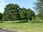 52022CIMG1079.JPG