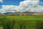 27557DSC_8383.JPG