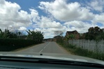 28396P1010407-1.JPG