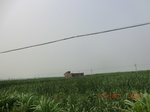 32943CIMG2089.JPG