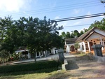 31293CIMG1155.JPG