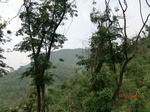 53672CIMG7052.JPG