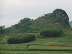 34788CIMG2619.JPG