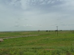 18865P1000707.JPG