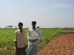 9835gt0127a-cultivated-rainfed-irrigated-mixed-crops.gif