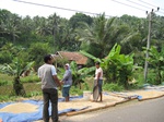 15907IMG_4455.JPG