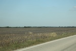 2024-06-17_21-20-56_E286A9E8-F648-469F-BCD7-3751B82E7424.jpeg