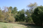 178IMG_4074.JPG